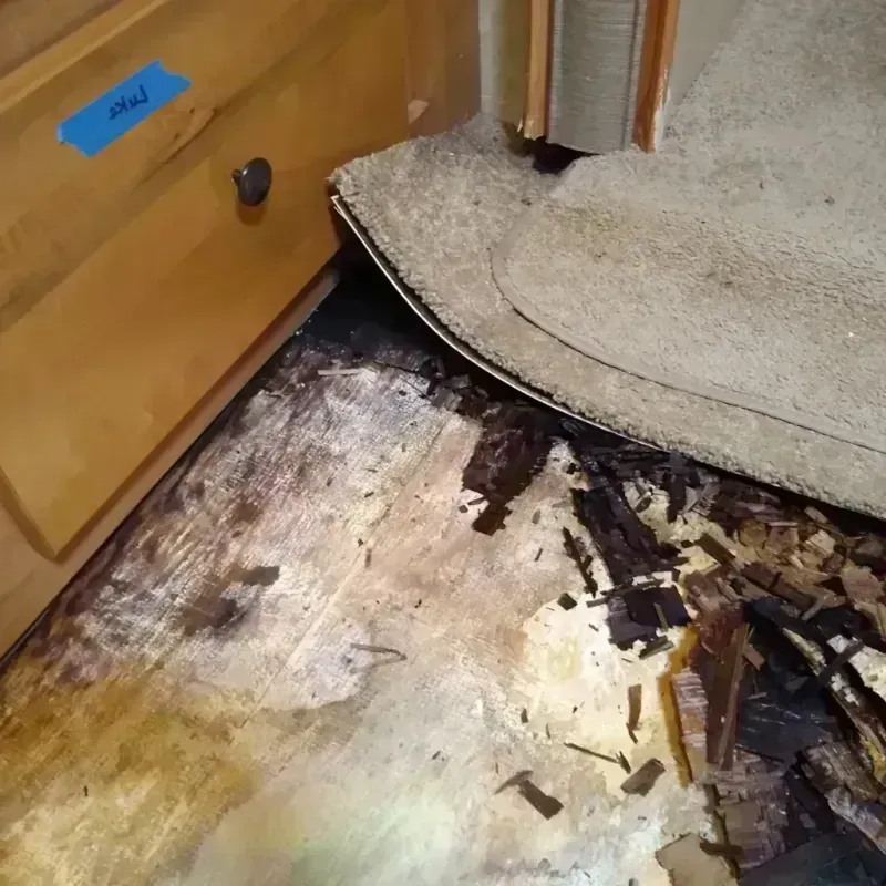 Wood Floor Water Damage in Sumter County, FL